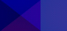 quad esl
