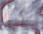 quad 250