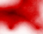 quad scherzer