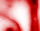 www quad de