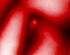 quad graphics