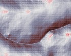 quad welt