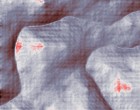 bedienungsanleitung quads